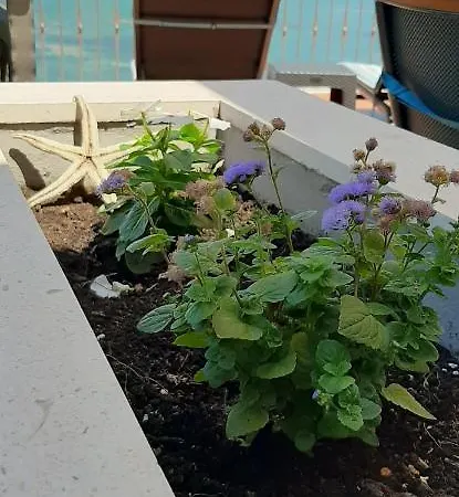 Дом отдыха House Daniva