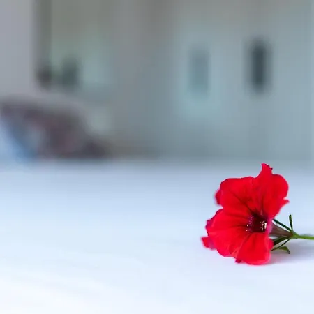 펜션 House Daniva Okuklje