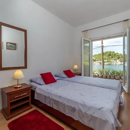 House Daniva 펜션 Okuklje