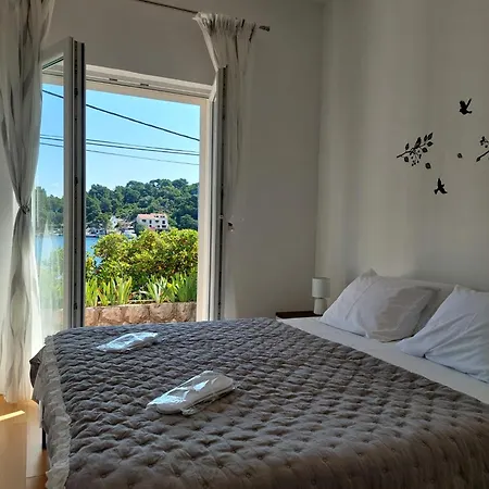 House Daniva 펜션 Okuklje