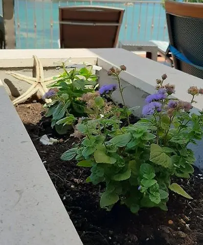 Σπίτι διακοπών House Daniva