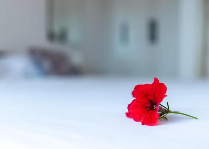 Σπίτι διακοπών House Daniva Okuklje